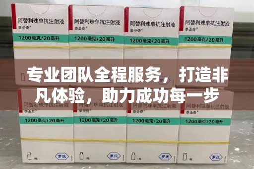 衡阳专业团队全程服务，打造非凡体验，助力成功每一步