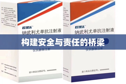 衡阳构建安全与责任的桥梁