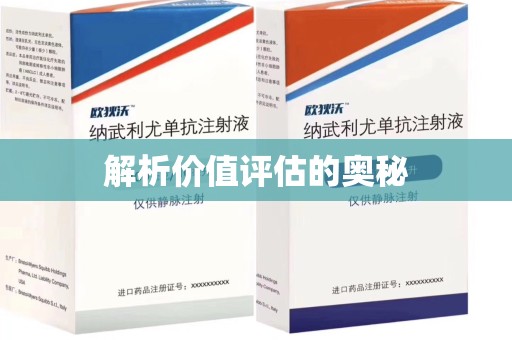 衡阳解析价值评估的奥秘