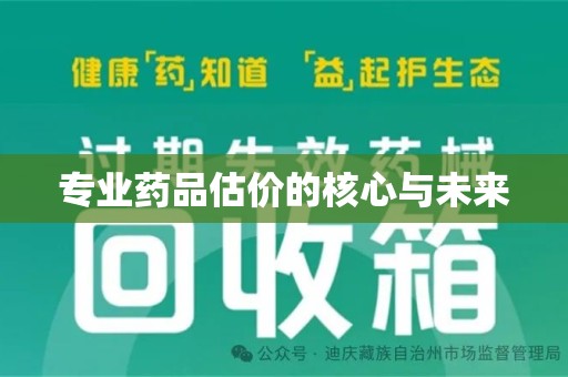 衡阳专业药品估价的核心与未来