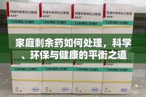 衡阳家庭剩余药如何处理，科学、环保与健康的平衡之道