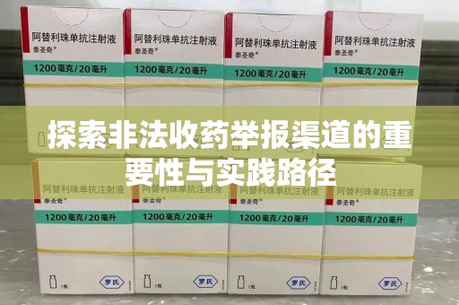 衡阳探索非法收药举报渠道的重要性与实践路径