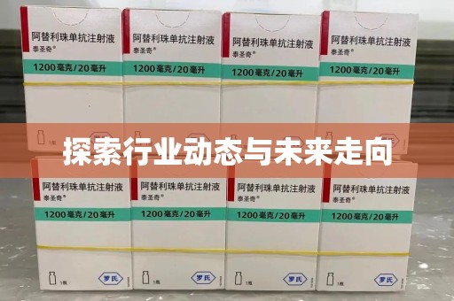 衡阳探索行业动态与未来走向