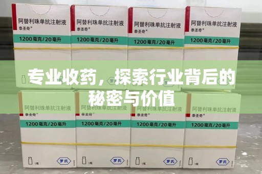 衡阳专业收药，探索行业背后的秘密与价值