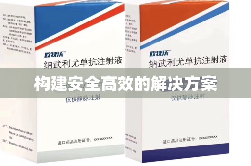 衡阳构建安全高效的解决方案