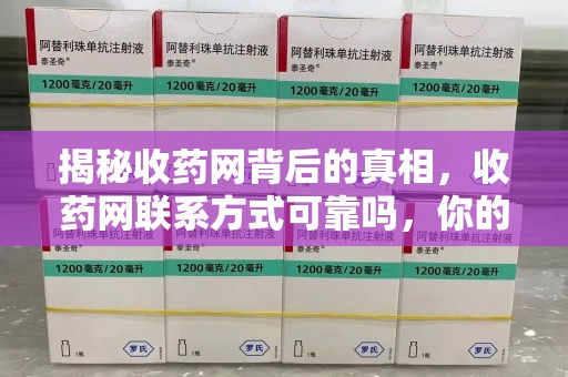 衡阳揭秘收药网背后的真相，收药网联系方式可靠吗，你的选择至关重要