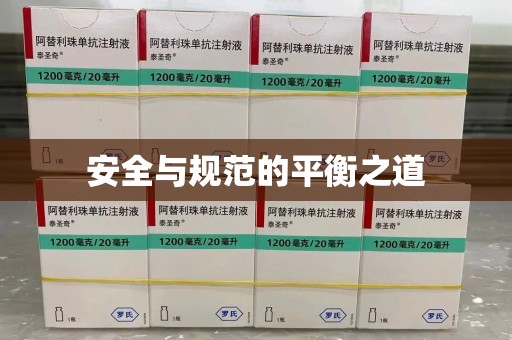 衡阳安全与规范的平衡之道