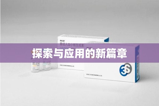 衡阳探索与应用的新篇章
